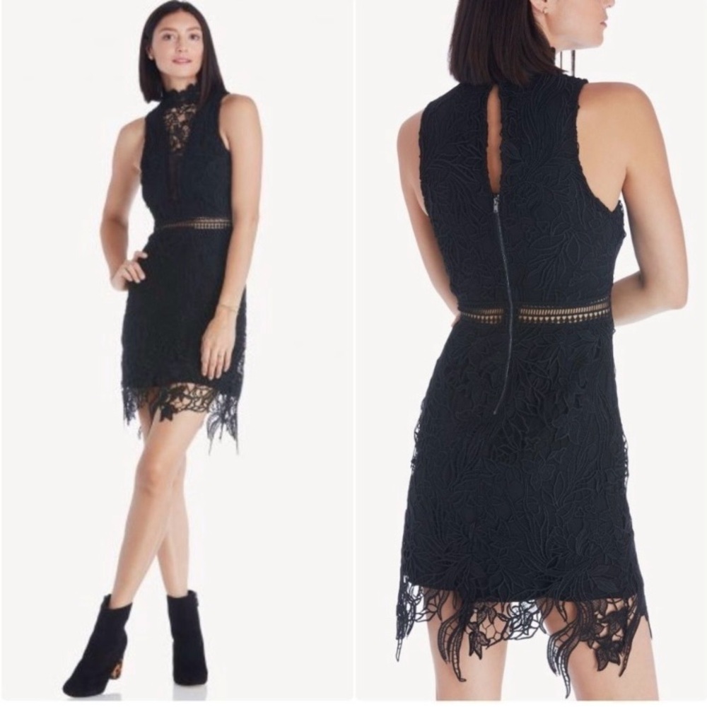 ASTR Body-con Elegant Black Lace Dress with Sheer Panels
